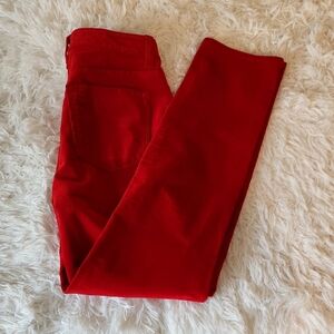 Talbots Red Women's High Waist Straight Leg Pant